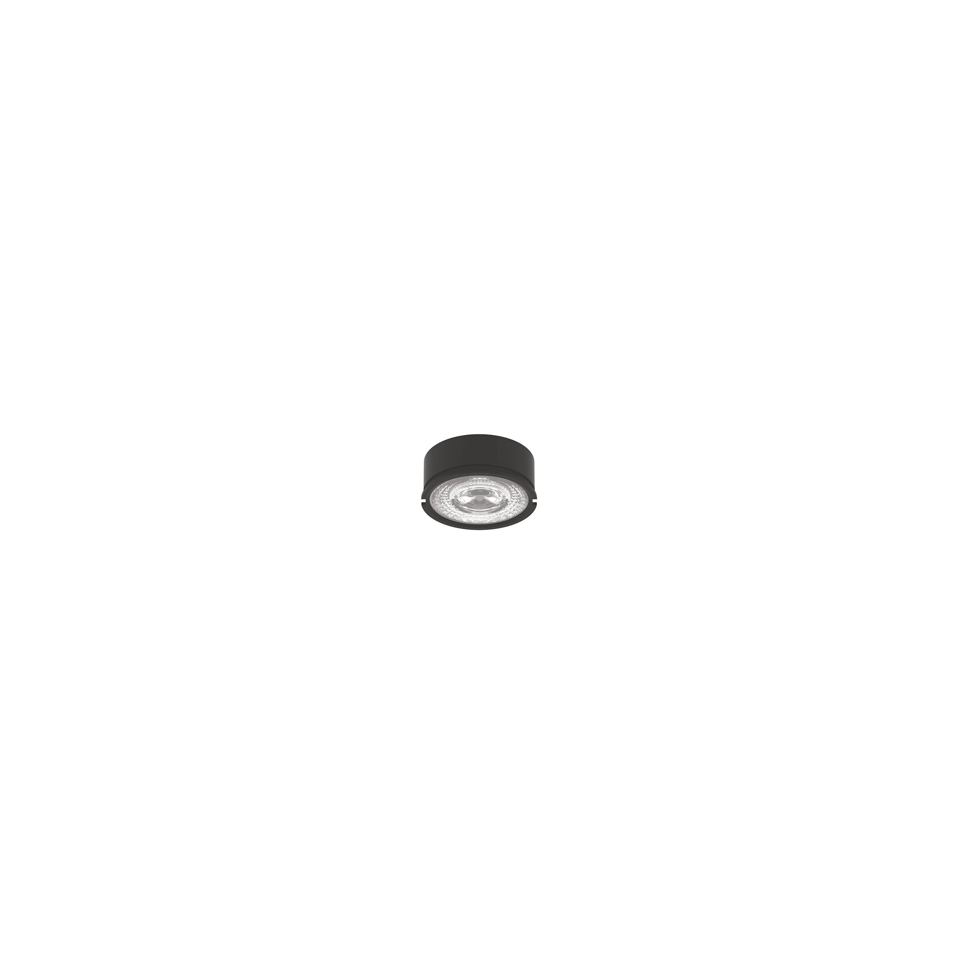 Coin Series
